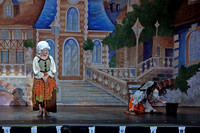 2011 Cinderella Performance